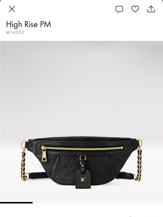 Louis Vuitton Handbags - Louis Vuitton Black Embossed Leather High Rise PM Belt Bag with Gold Hardware